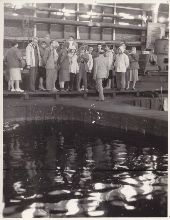 Náhledový obrázek Fotografie - pracovníci SÚ na exkurzi, 1960 - 10